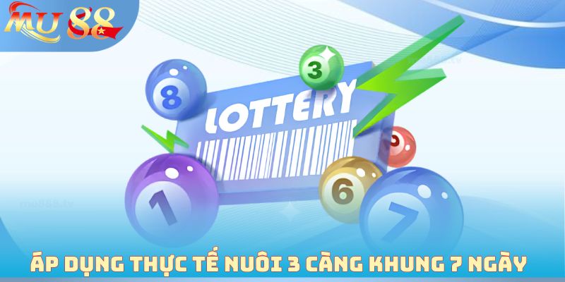 Áp dụng thực tế nuôi 3 càng khung 7 ngày 