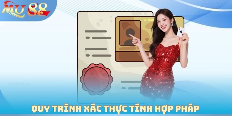 Giấy phép hoạt động và quy trình xác thực tính hợp pháp