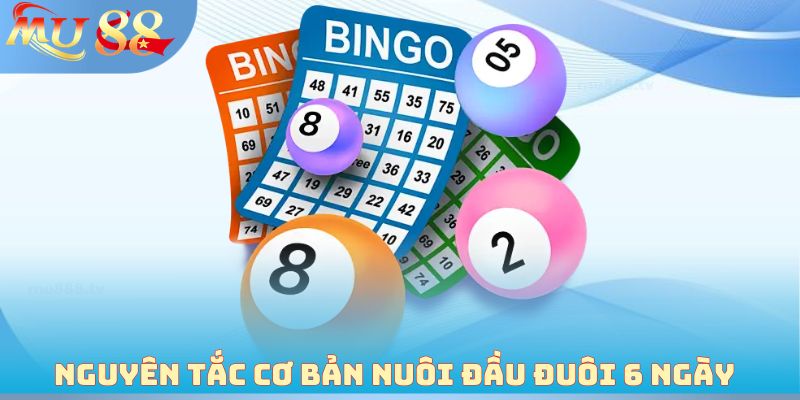 Nguyên tắc cơ bản nuôi đầu đuôi 6 ngày 