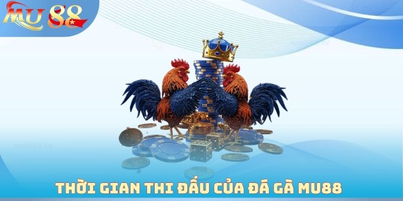 Thời gian thi đấu của đá gà MU88